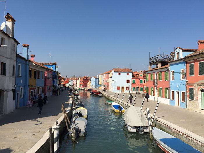 image - Venetia 2015