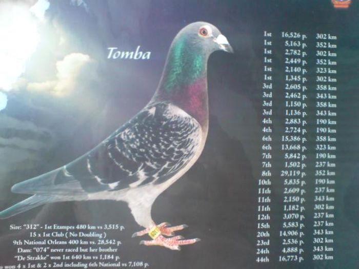 tomba - CUPLUL XVIII