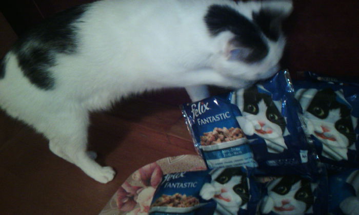 2015-03-16 04.43.59 - FELIX