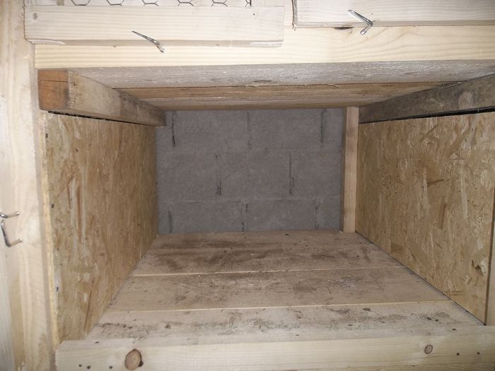 Adaposturi iepuri 2015 005