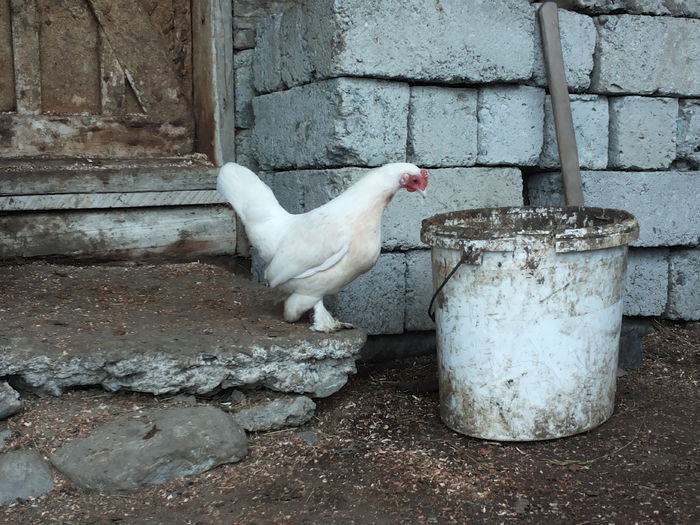 cam curioasa de fel :)