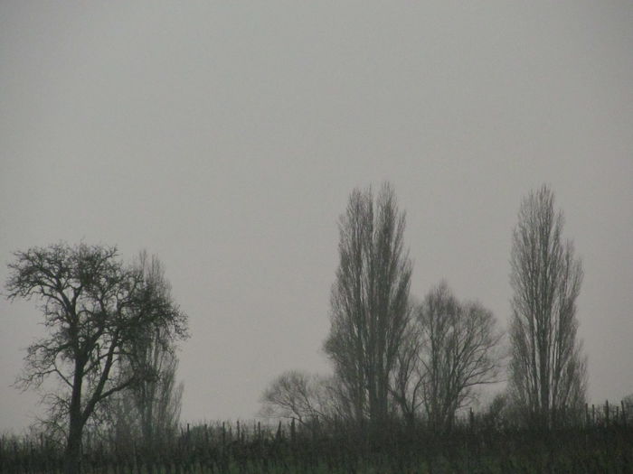  - Diverse 1 - Plimbari