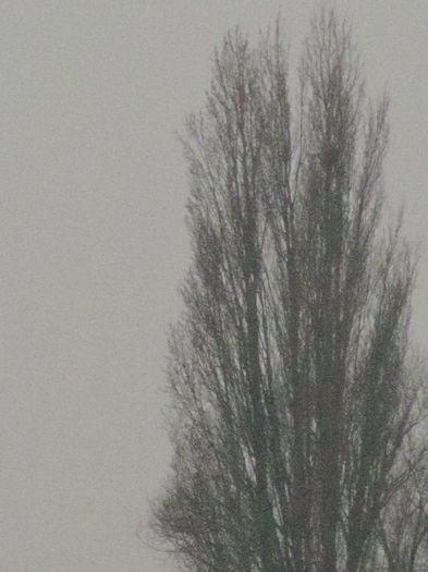  - Diverse 1 - Plimbari