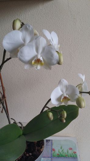 20150315_162510