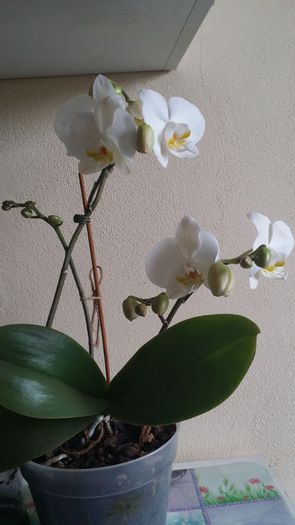 20150315_162549