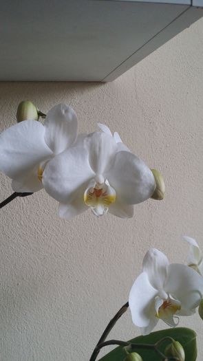 20150315_162611