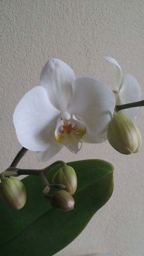 20150315_162652