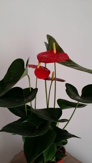 20150317_174259