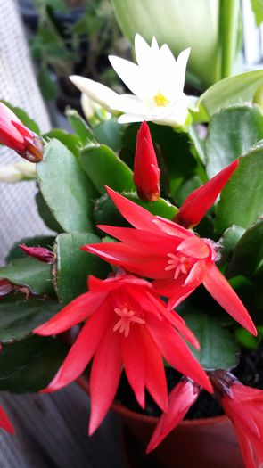 20150318_100354