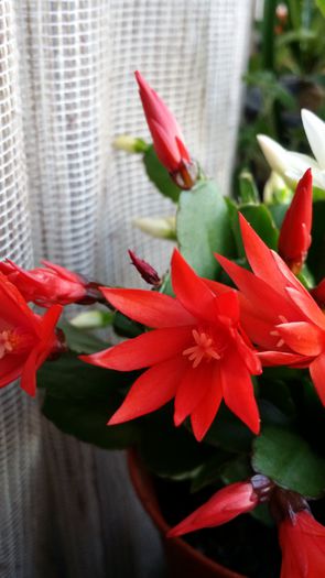 20150318_100330