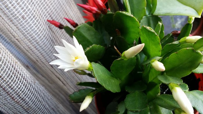 20150318_095853