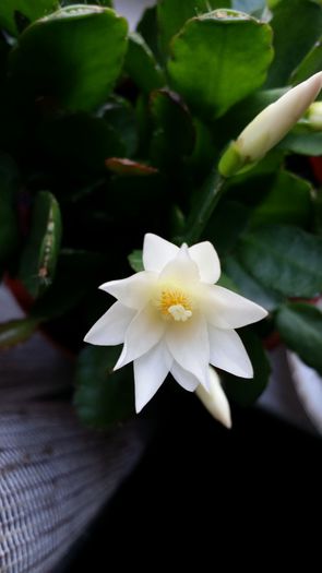 20150318_095826