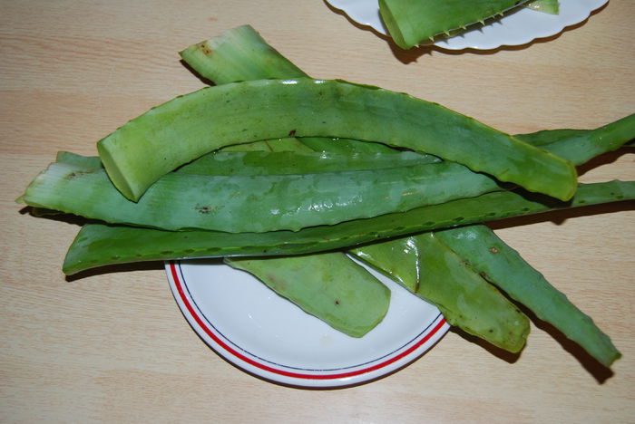Frunze Aloe fara tepi ptr.macerat - Aloe Vera