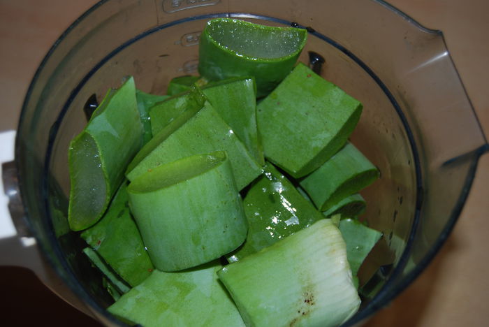 Frunze Aloe taiate si puse in blender ptr.macerat