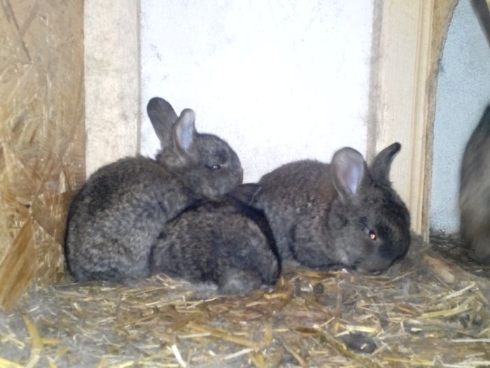 IMG_20150318_082035434