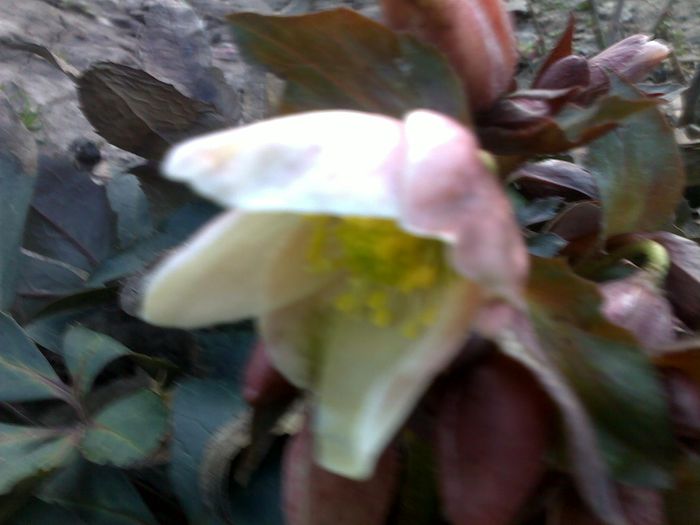 080320152295