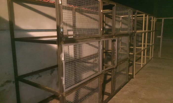 Custi iepuri in lucru 18-03-2015