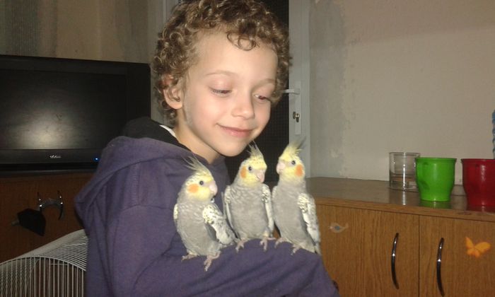 20150318_201134 - Pui Nimfe blande