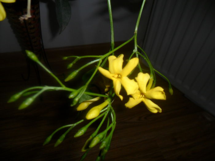SAM_3370