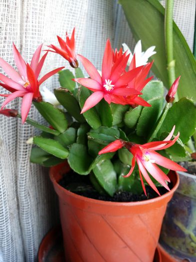 20150319_092457