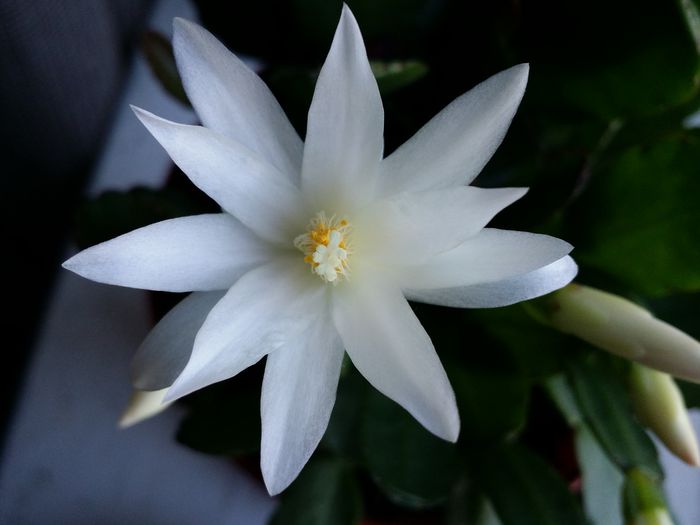20150319_093033
