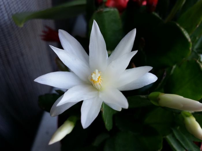 20150319_093020