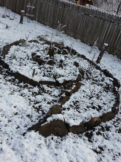 20150319_075007 - 1_PRIMAVARA