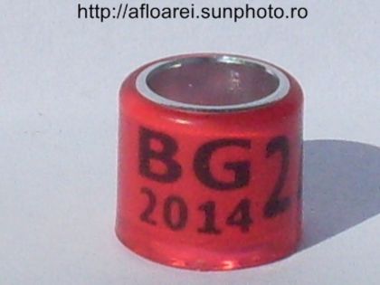 bg 2014