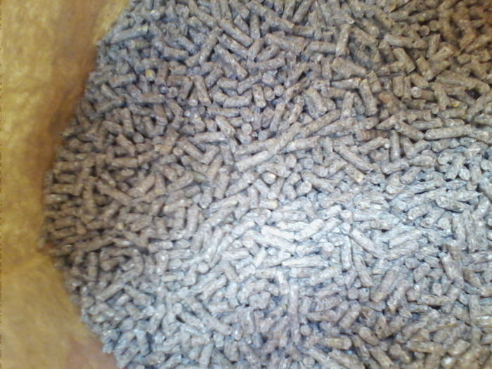 granule