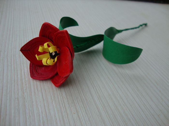 Lalea; Floarea este realizata din benzi de hartie de 1,5 mm. Lacuita pentru o buna rezistenta in timp. Poate fi  o frumoasa amintire :)
