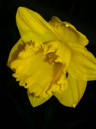 20150320_070817 - 1_PRIMAVARA