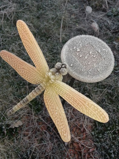 20150320_070303 - 1_PRIMAVARA