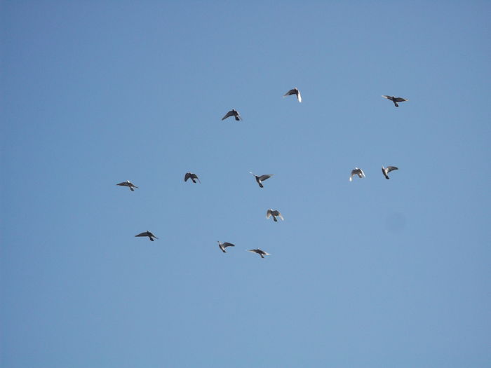 20-03-2015--Antrenament. h 18 -11 min