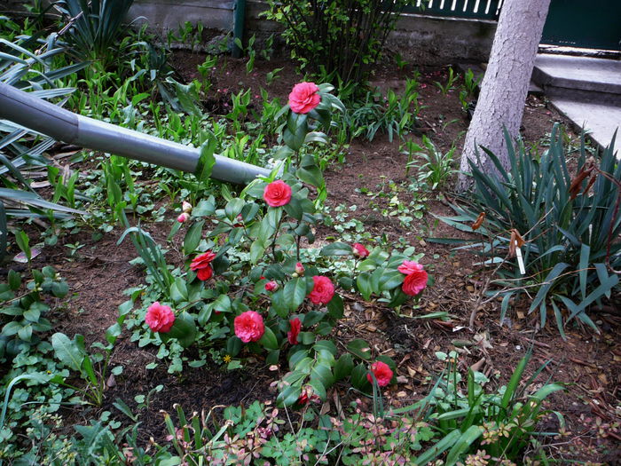 P1250079