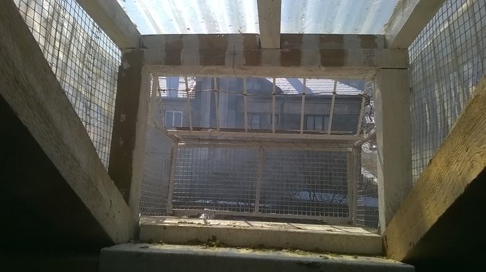 WP_20150321_11_33_35_Pro