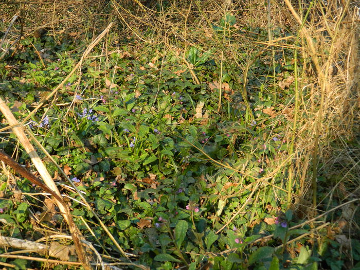 DSCN1548