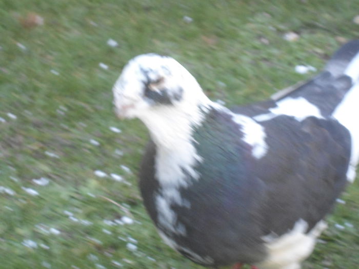 F-2012-vanduta - 4-Poze Suplimentare AGH