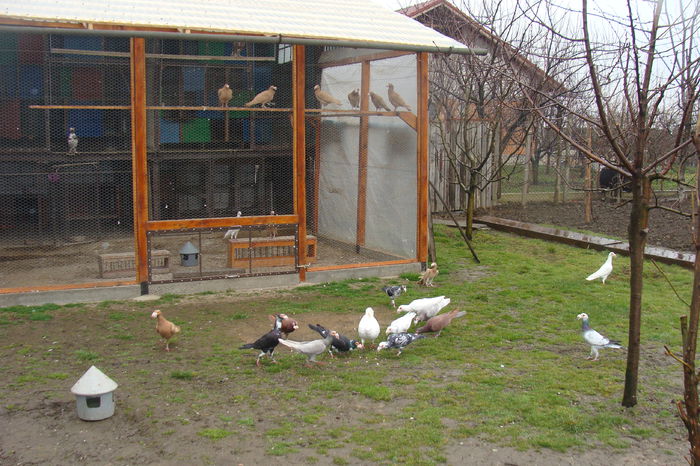 DSC03149 - carieri octombrie2014