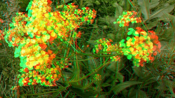 20140518_093153 - 3D ANAGLYPH