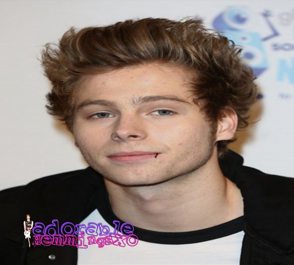 - 06 || Animalul lui prefetat este pinguinul. - x Luke Purfect Hemmings xXx facts