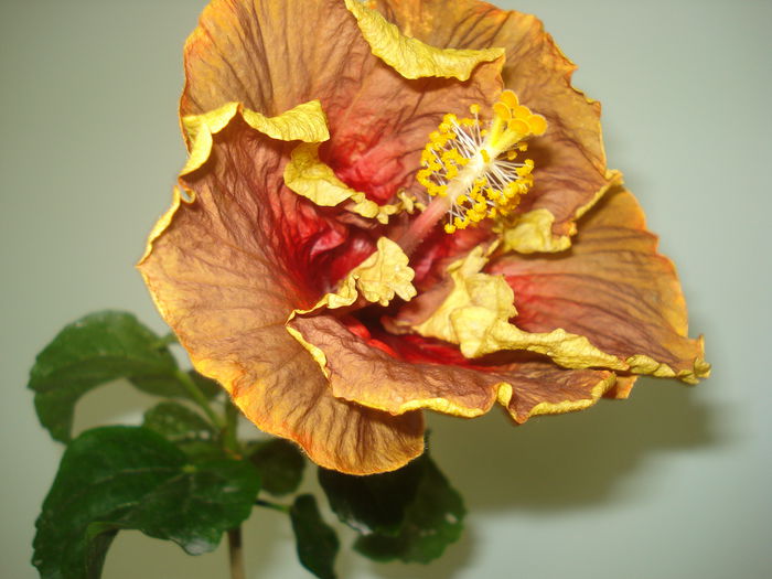 DSC00028