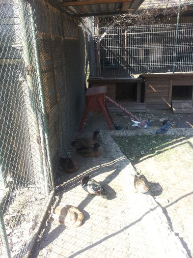 20150321_140233 - Zoo Tg  Mures