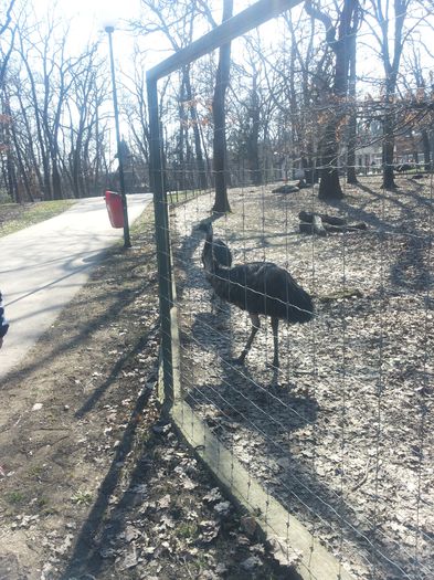 20150321_140410 - Zoo Tg  Mures