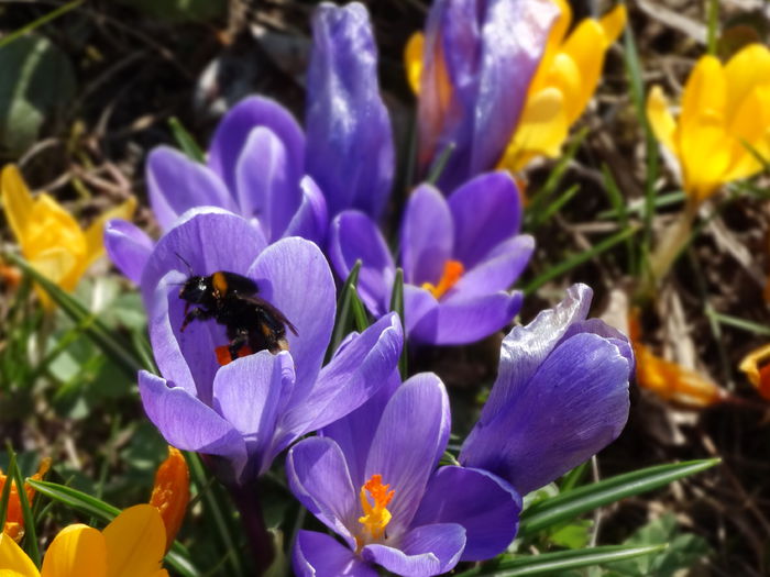 22.03.2015 22.03.2015