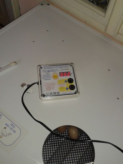 20721_940763319275518_557577658145387636_n