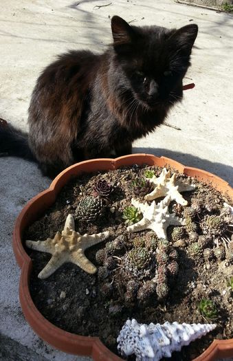 20150321_151039-1 - 1_PRIMAVARA