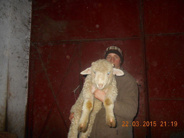 Picture 168 - Productia De Miei 2015