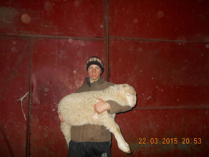 Picture 143 - Productia De Miei 2015