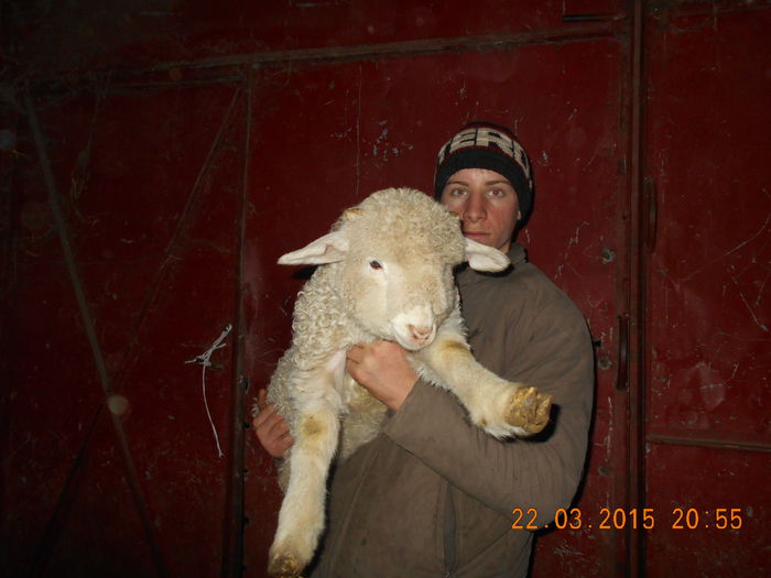 Picture 145 - Productia De Miei 2015