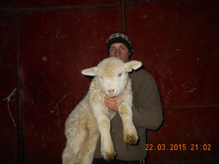 Picture 153 - Productia De Miei 2015